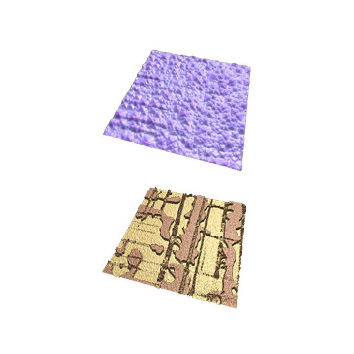 topography