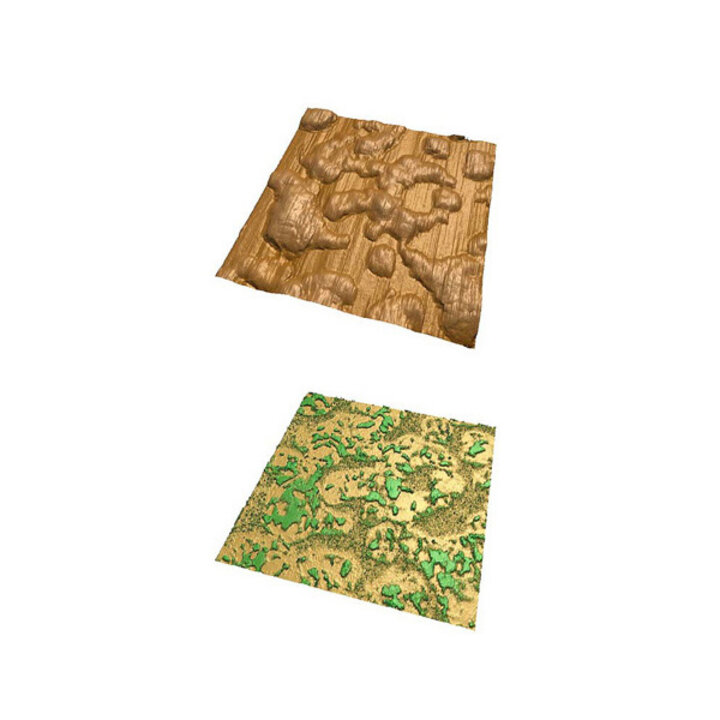 topography