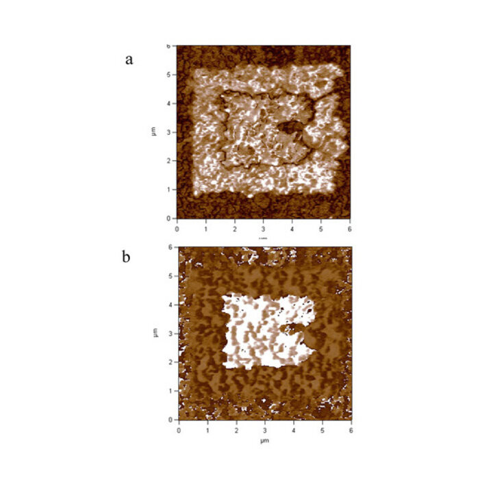 topography