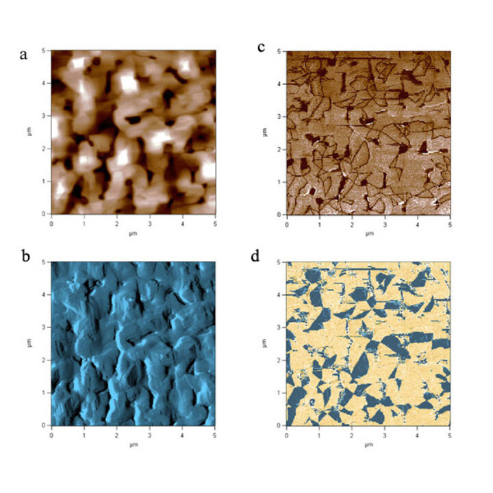 topography