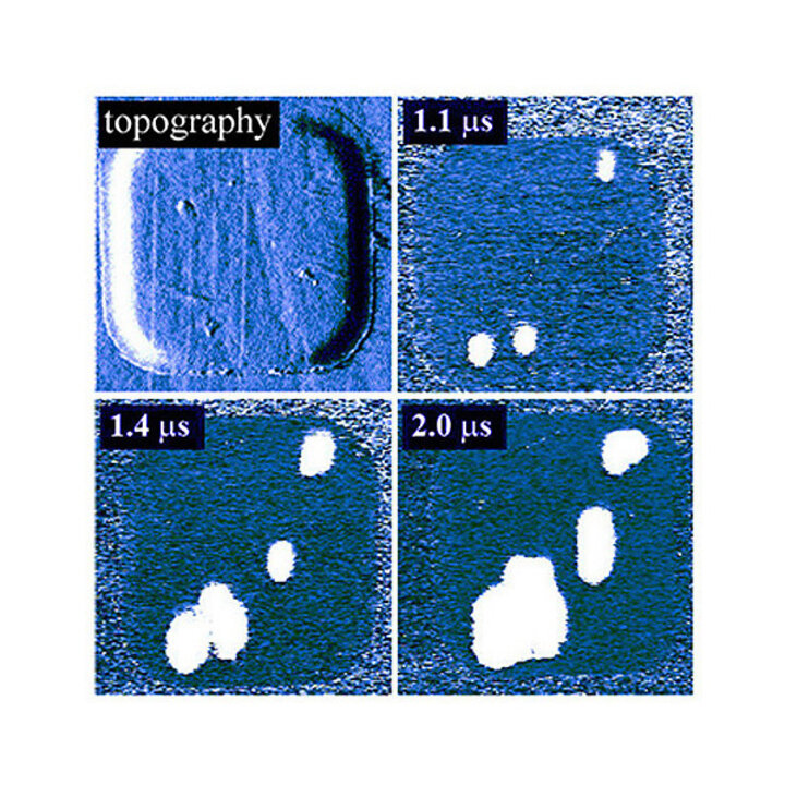 images of instantaneous domain conficurations developing during polarization reversal in capacitors