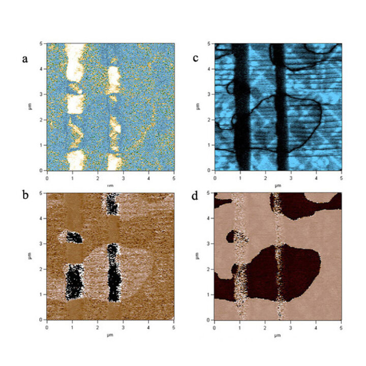 images of lateral PFM and vertical PFM