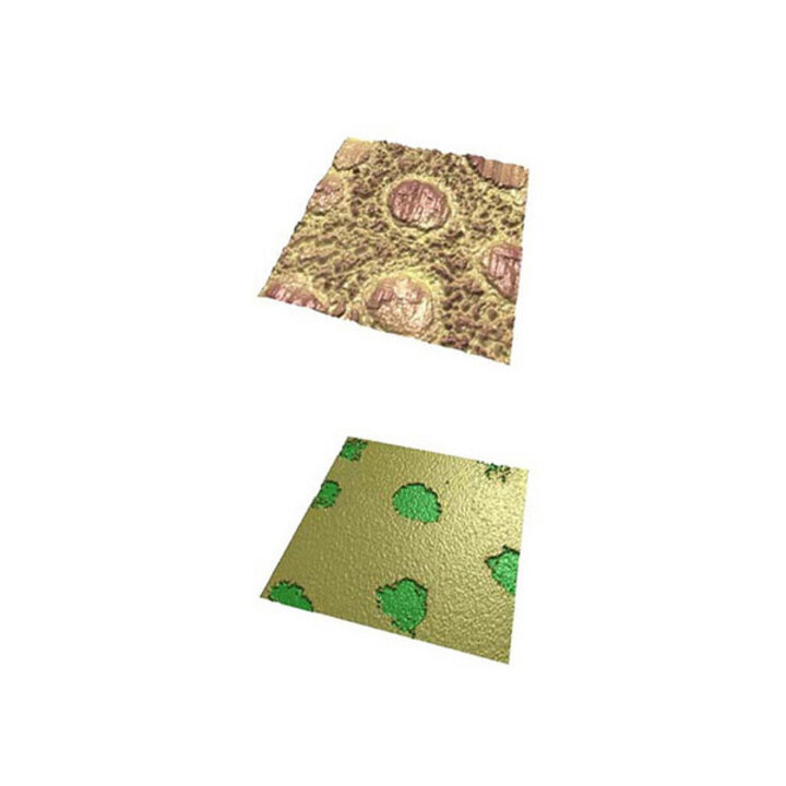 topography